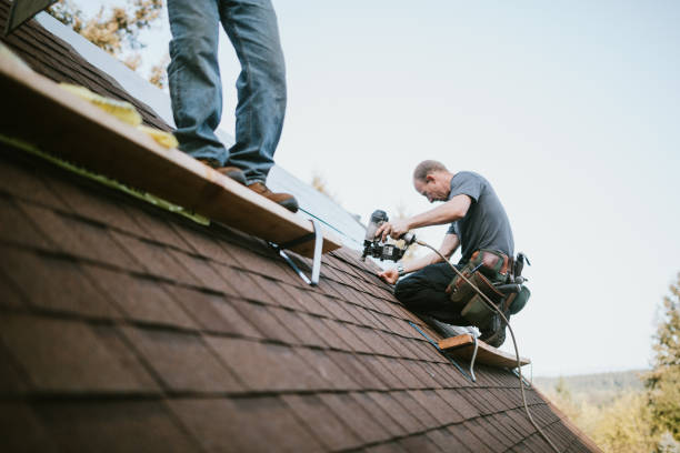 Quick and Trustworthy Emergency Roof Repair Services in Waynesburg, PA